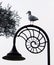 Seagull on a Lamp post