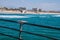 Seagull landing on bait cutting shelf on railing of pier with ocean and beach in the background.