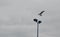 Seagull landing on a lantern