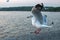 Seagull lands on a concrete railing at pier