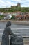 A seagull (Larus argentatus) perches on the head of a statue at Whitby harbour, North Yorkshire.