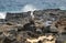 A seagull on Lava stones in front of the sea.