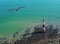 Seagull and lighthouse on a sunny day in Seven Sisters