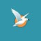 Seagull Logo Design With Web Symbol In Flat Style