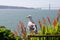 Seagull looking from Alcatraz to Golden gate bridge, San Francisco, California, USA