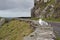 A seagull looking out to sea on rugged stone wall along Slea Head Drive in Dingle, Ireland