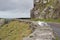 A seagull looking out to sea on rugged stone wall along Slea Head Drive in Dingle, Ireland