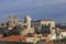 Seagull looking on the Porto cathedral and house roofs from view