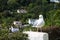 Seagull looking towards the camera with a coastal village backdrop