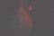 Seagull Nebula IC2117