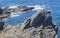 Seagull nest placed over cliff peak