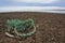 Seagull nest with the plastic rubbish on the Arctic island