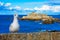 Seagull and an old fort in St. Malo