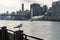 Seagull on a Perch along the East River at Roosevelt Island in New York City