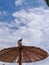 Seagull perched atop a beach umbrella