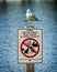 Seagull Perched Atop Do Not Feed Wildlife Sign