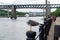 A Seagull perched on a bollard on the side of the Tyne River in Newcastle city Centre