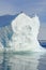 Seagull Perched on an Iceberg