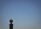 Seagull perched on a monument in the port of Lisbon. Free space to write