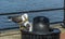 A seagull perched on a public garbage bin