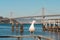 Seagull perched on a railing with the Bay Bridge and blue waters in the background