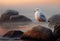 Seagull perched on the rock. Sea haze during sunrise. Realistic ilustration. Generative ai