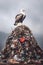 a seagull perched on top of a mountain of trash