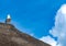 Seagull perched on top of thatched roof in on sunny day