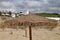 Seagull perches on top of a straw sun umbrella on a sandy beach