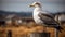 Seagull perching on jetty, overlooking tranquil water generated by AI