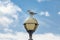Seagull perching on lamp post against sky