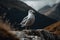 Seagull perching on a rocky outcrop surrounded by majestic mountains. Generative AI