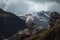 Seagull perching on a rocky outcrop surrounded by majestic mountains. Generative AI