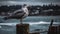 Seagull perching on wooden post by coastline generated by AI