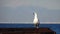 Seagull on the pier