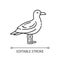 Seagull pixel perfect linear icon