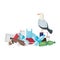 seagull with plastic and disposables products