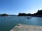 Seagull at Port Chalmers