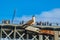 Seagull in Porto in Portugal, in front of Luis Bridge