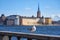 Seagull portrait in city. Close up view of a bird sitting on a sea shore against a blue water and blurred old city of Stockholm.