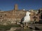 Seagull portrait on imperial forums fori imperiali rome buildings on walkway