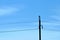 Seagull on a power line pole against the blue sky