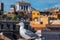 A Seagull proudly sitting on a historic building from Rome, Italy