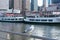 Seagull on a Railing at Pier 83 along the Hudson River with Circle Line Boats in the background in Hell`s Kitchen