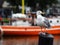 Seagull in rain in harbour