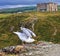 Seagull ready to fly with the background of Tintagel castle hotel, Cornwall, United Kingdom