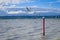 Seagull on red stake, Rotorua lake, New Zealand