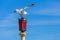 Seagull on a red street lantern