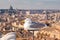 Seagull relaxing on top of Rome