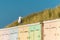 Seagull resting on beach sheds in sunset